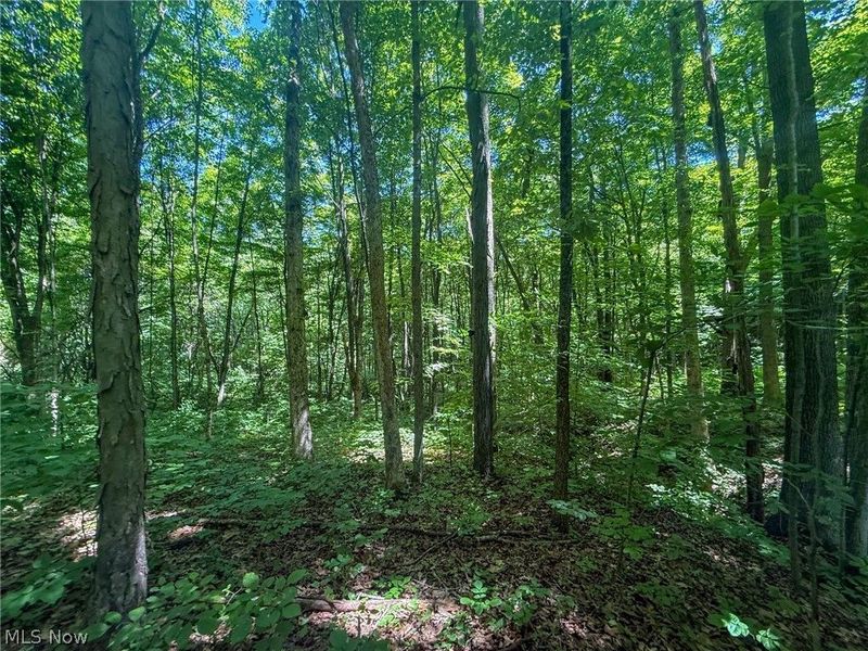 Keffer Rd, Stockport, OH 43787 Photo 9