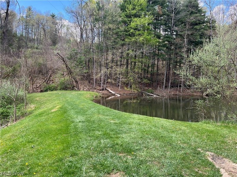 Kirchberg Drive, Millersburg, OH 44654 Photo 28