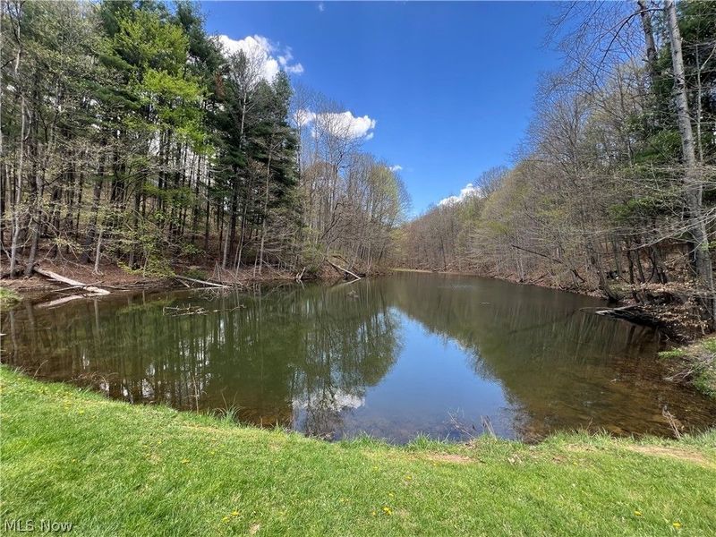 Kirchberg Drive, Millersburg, OH 44654 Photo 30