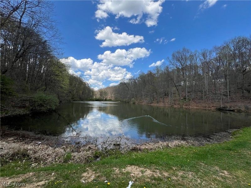 Kirchberg Drive, Millersburg, OH 44654 Photo 31