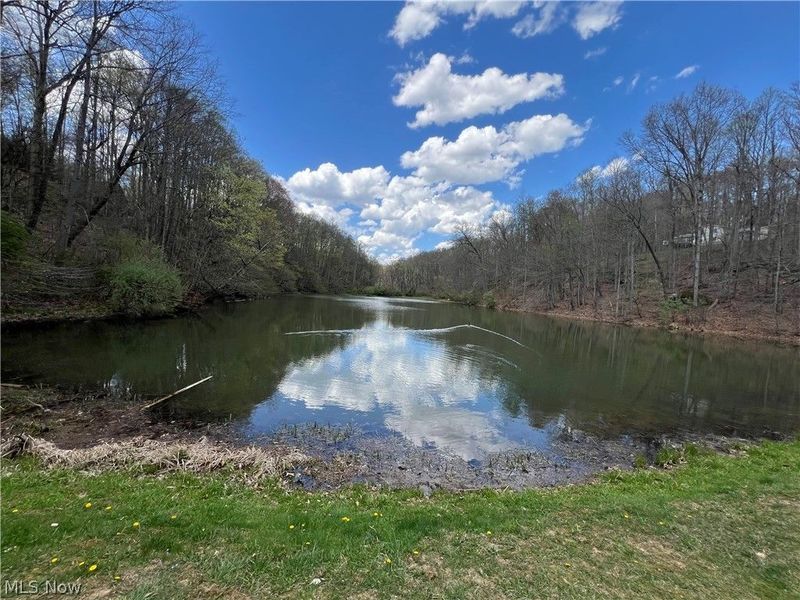 Kirchberg Drive, Millersburg, OH 44654 Photo 33
