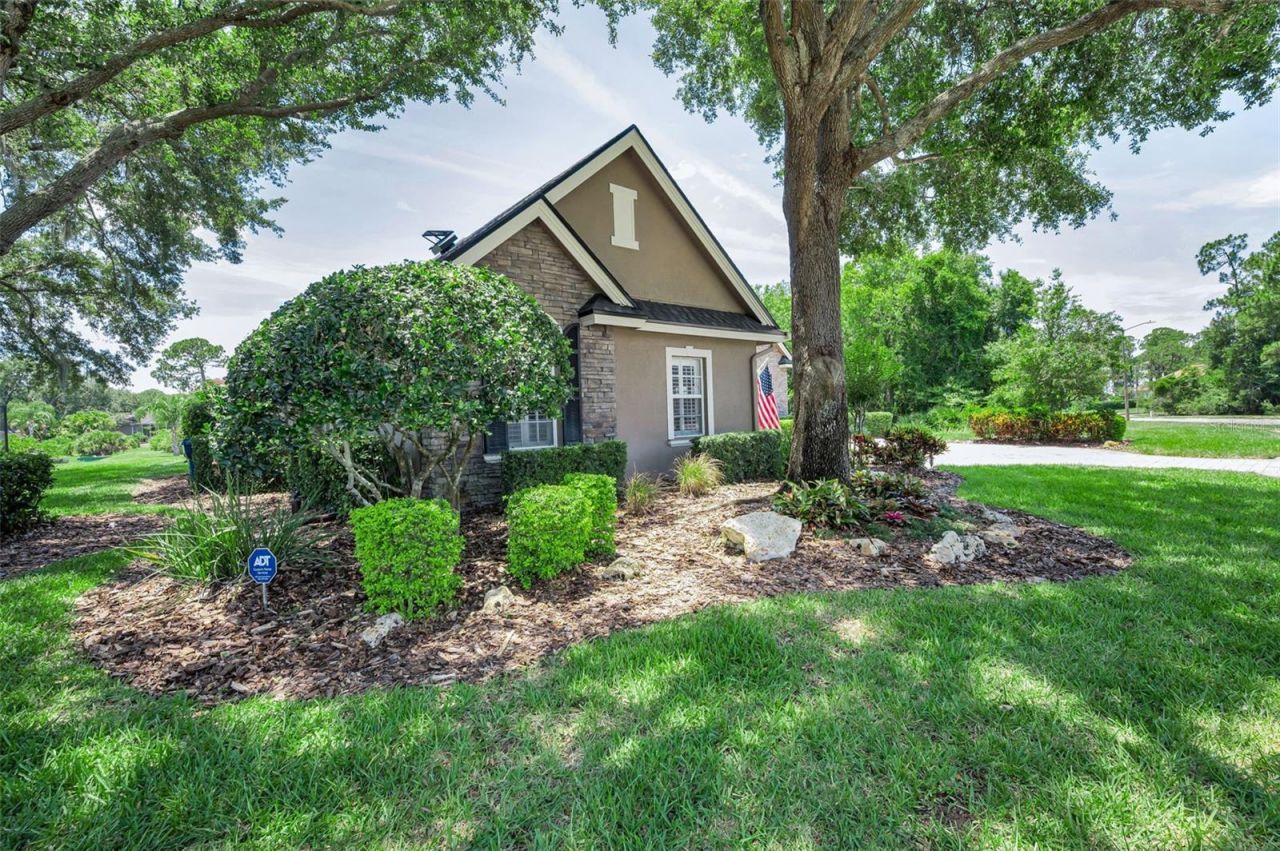 5022 Jewell Terrace, Palm Harbor, FL 34685 Photo