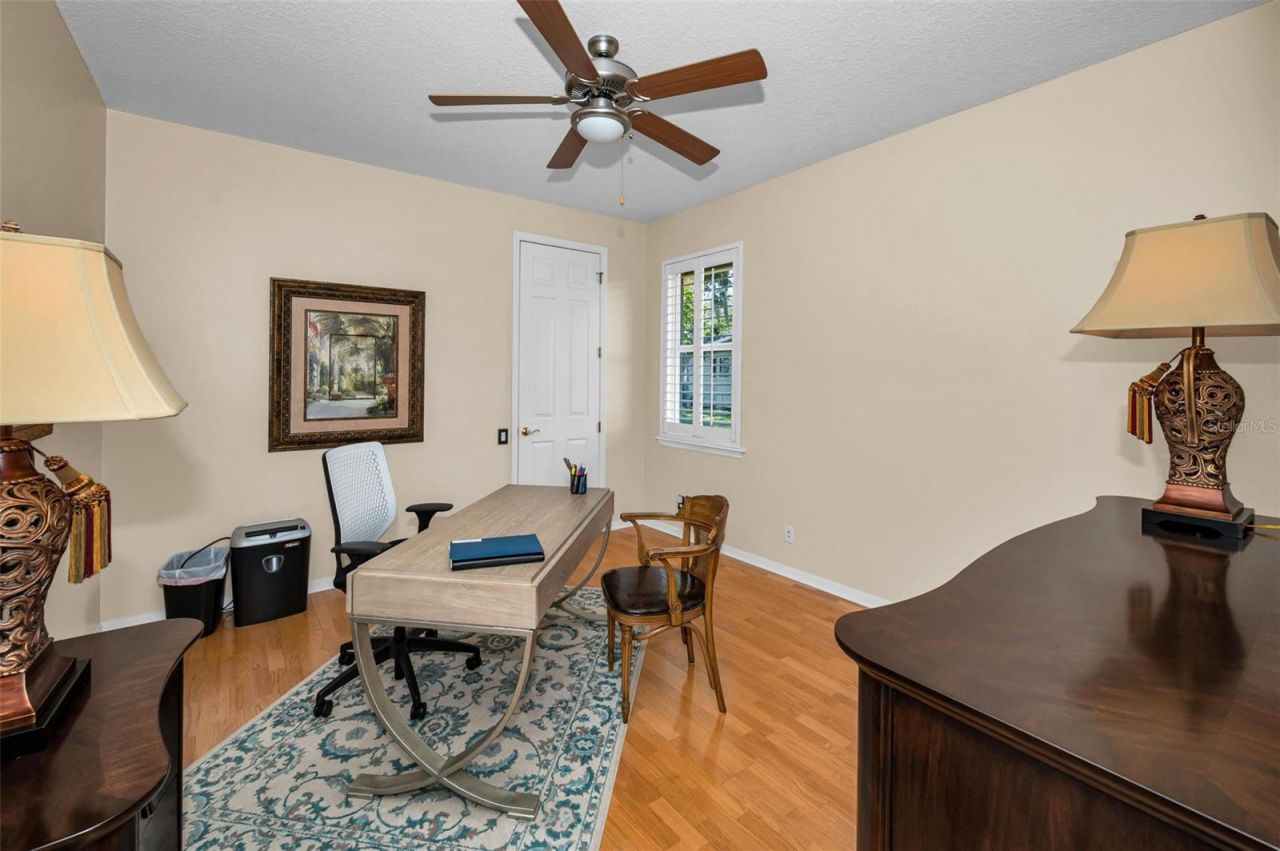 5022 Jewell Terrace, Palm Harbor, FL 34685 Photo
