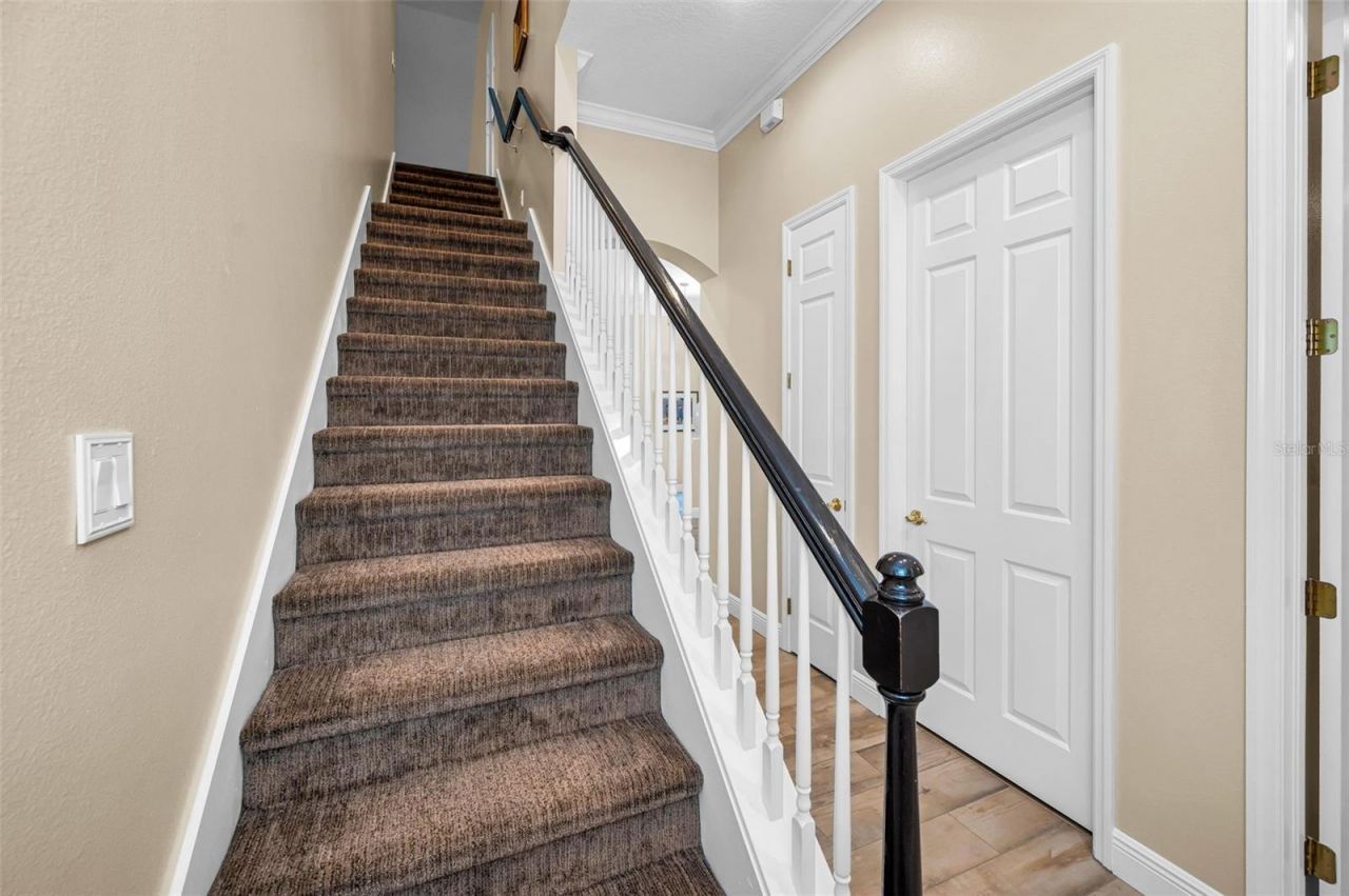 5022 Jewell Terrace, Palm Harbor, FL 34685 Photo