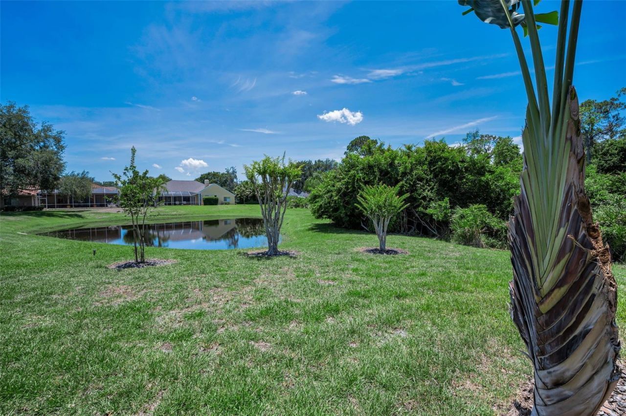 5022 Jewell Terrace, Palm Harbor, FL 34685 Photo