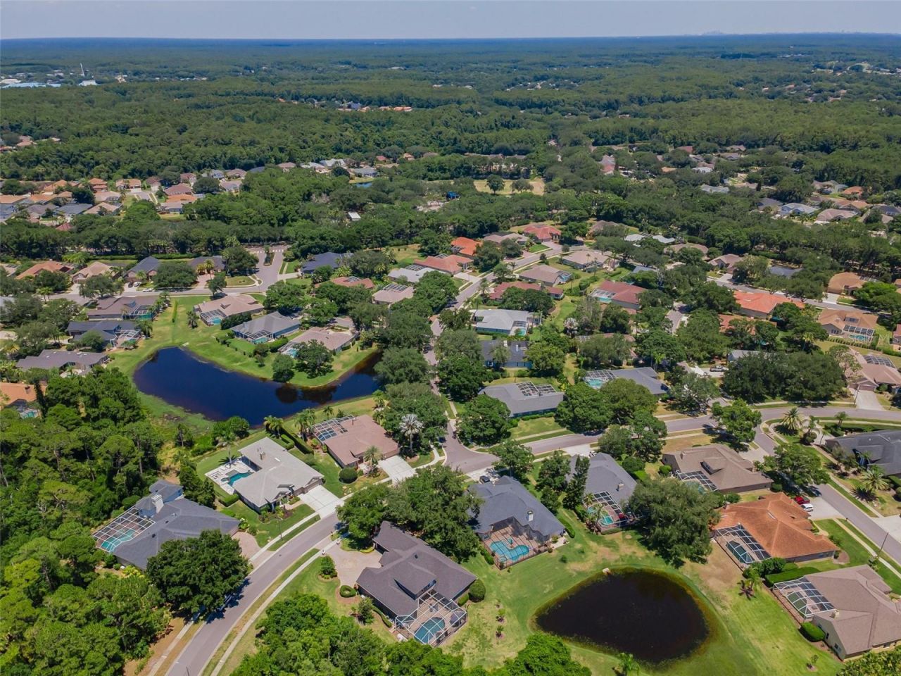 5022 Jewell Terrace, Palm Harbor, FL 34685 Photo