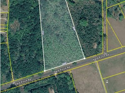 0 Hard Pinch Road, Moncks Corner, SC 29461