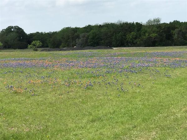 1014 White Bluff Drive , Whitney, TX 76692