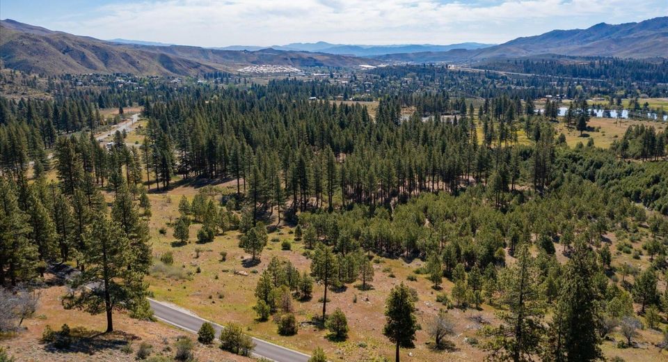 Feenune Road, Verdi, NV 89439 Photo