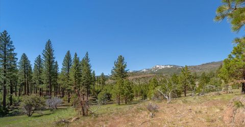 Feenune Road, Verdi, NV 89439 Photo