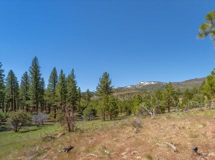 Feenune Road, Verdi, NV 89439 Photo