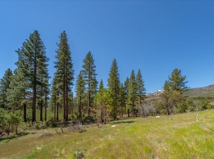 Feenune Road, Verdi, NV 89439 Photo