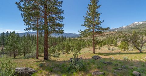 Feenune Road, Verdi, NV 89439 Photo