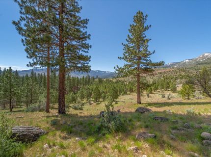 Feenune Road, Verdi, NV 89439 Photo