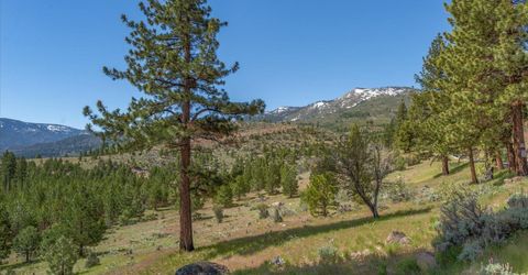 Feenune Road, Verdi, NV 89439 Photo
