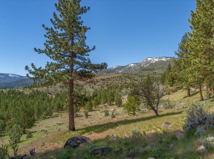 Feenune Road, Verdi, NV 89439 Photo