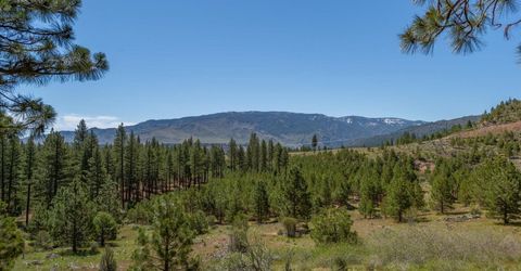 Feenune Road, Verdi, NV 89439 Photo
