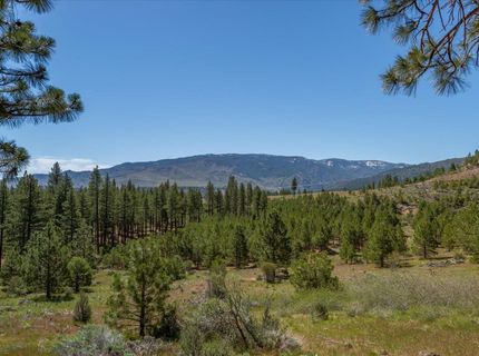 Feenune Road, Verdi, NV 89439 Photo