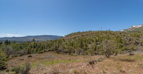Feenune Road, Verdi, NV 89439 Photo