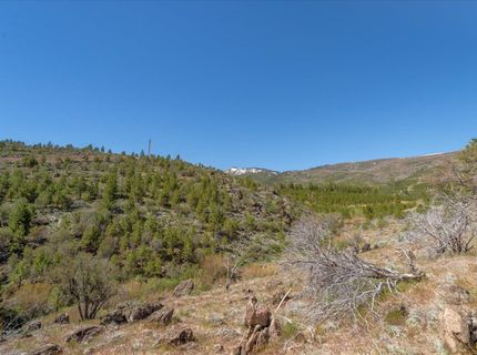 Feenune Road, Verdi, NV 89439 Photo