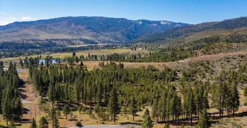 Feenune Road, Verdi, NV 89439 Photo