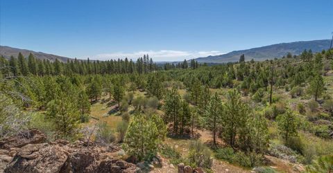 Feenune Road, Verdi, NV 89439 Photo