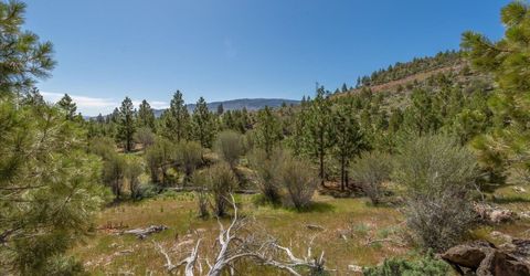 Feenune Road, Verdi, NV 89439 Photo