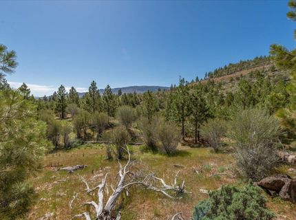 Feenune Road, Verdi, NV 89439 Photo