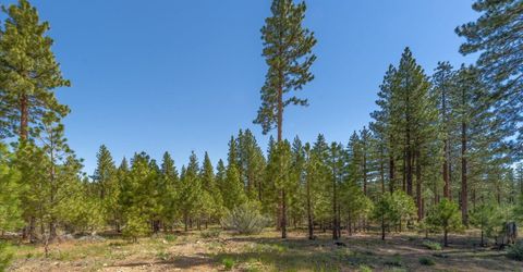 Feenune Road, Verdi, NV 89439 Photo