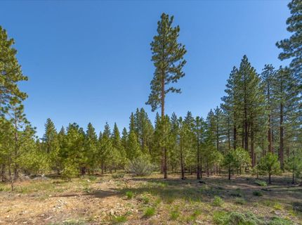 Feenune Road, Verdi, NV 89439 Photo