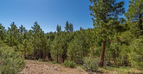 Feenune Road, Verdi, NV 89439 Photo