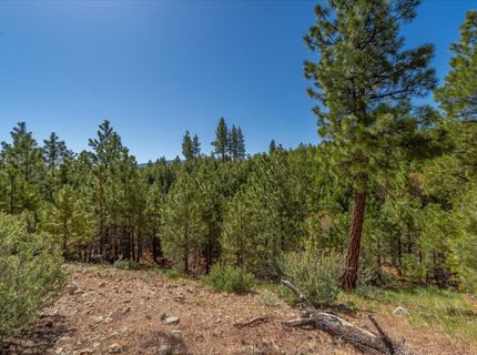 Feenune Road, Verdi, NV 89439 Photo