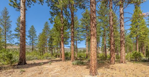 Feenune Road, Verdi, NV 89439 Photo