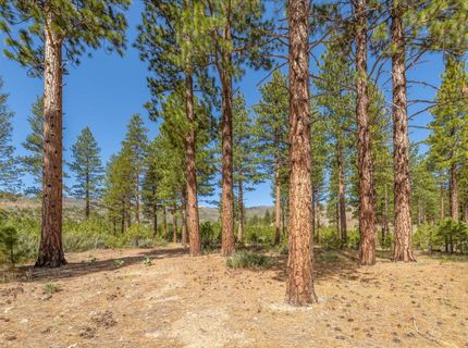 Feenune Road, Verdi, NV 89439 Photo