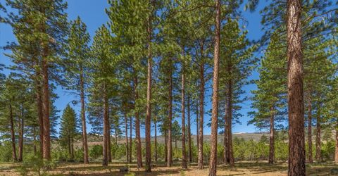 Feenune Road, Verdi, NV 89439 Photo