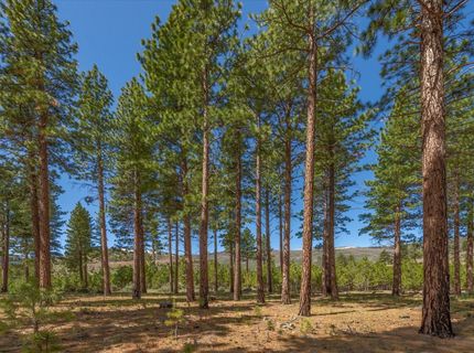 Feenune Road, Verdi, NV 89439 Photo