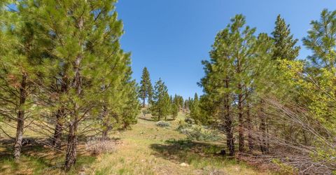 Feenune Road, Verdi, NV 89439 Photo