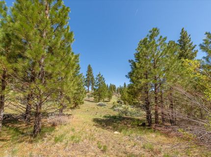 Feenune Road, Verdi, NV 89439 Photo