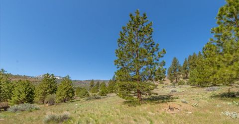 Feenune Road, Verdi, NV 89439 Photo