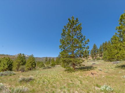 Feenune Road, Verdi, NV 89439 Photo