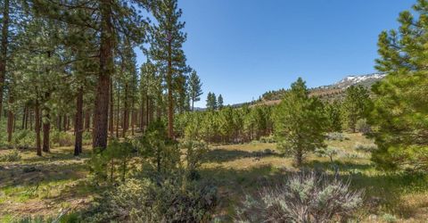 Feenune Road, Verdi, NV 89439 Photo
