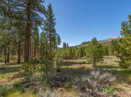Feenune Road, Verdi, NV 89439 Photo