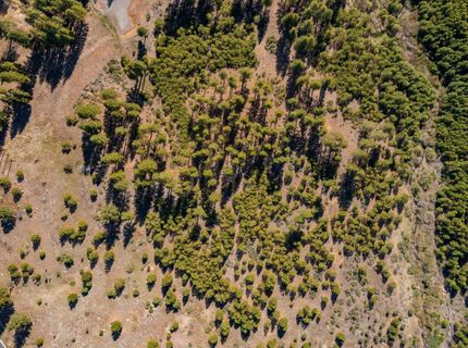 Feenune Road, Verdi, NV 89439 Photo
