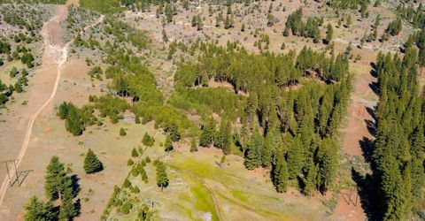 Feenune Road, Verdi, NV 89439 Photo