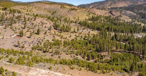 Feenune Road, Verdi, NV 89439 Photo