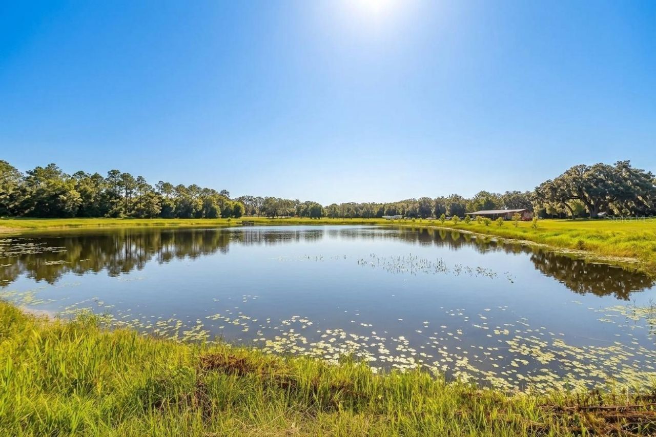 4940 State Road 11, De Leon Springs, FL 32130 Photo