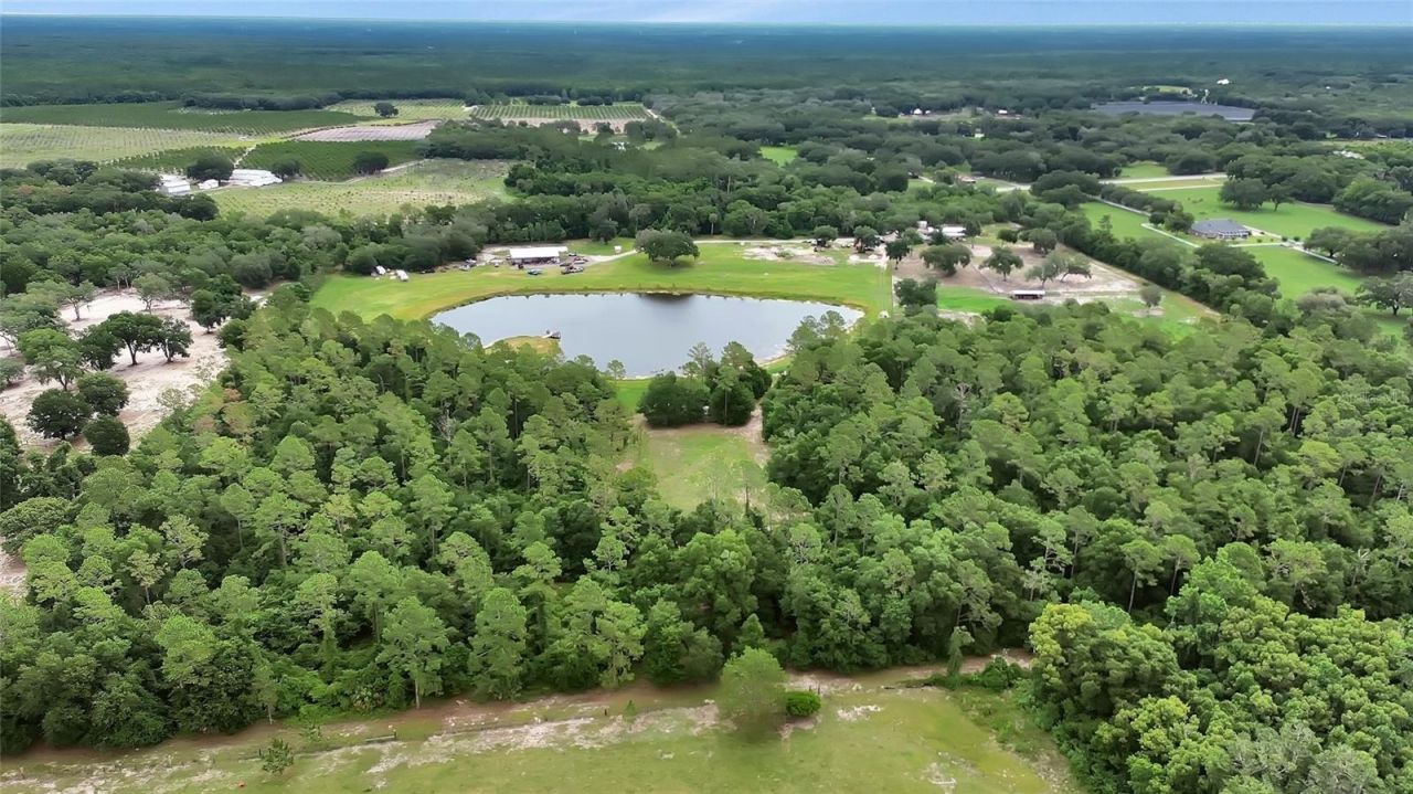 4940 State Road 11, De Leon Springs, FL 32130 Photo