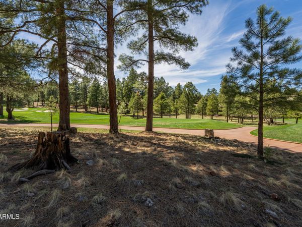 3663 S Woodland Hills Drive, Unit 365, Flagstaff, AZ 86005