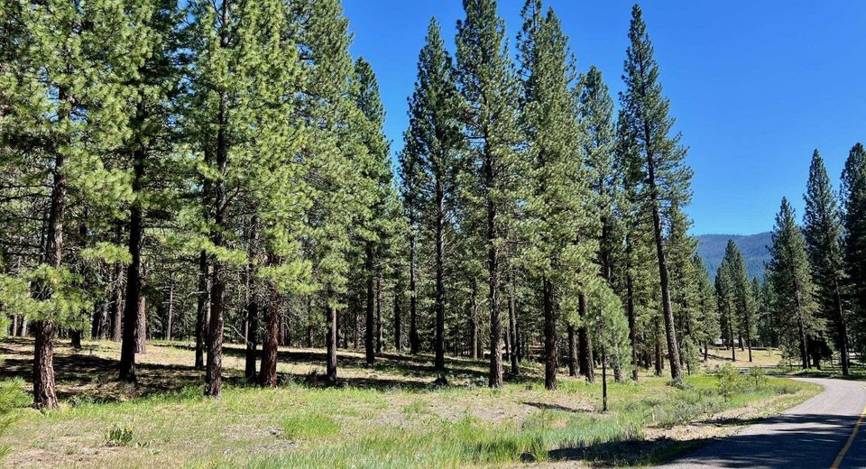 1855 Valley Ranch Drive, Clio, CA 96106 Photo
