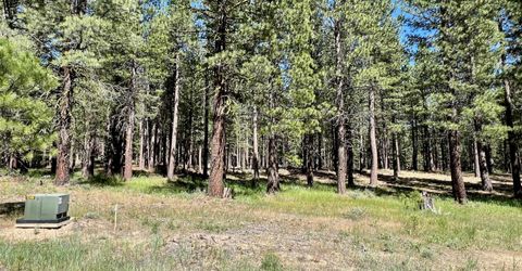 1855 Valley Ranch Drive, Clio, CA 96106 Photo